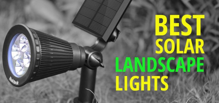 portfolio solar landscape lights